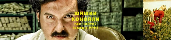 шишки Беломорск