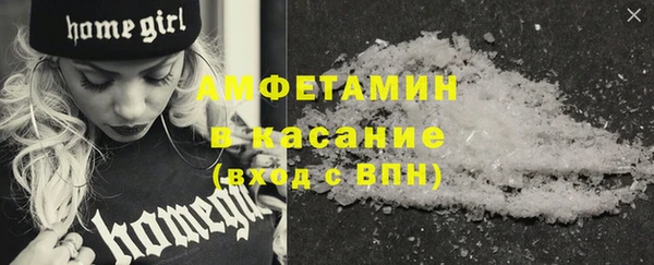 шишки Беломорск