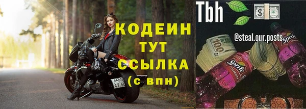 шишки Беломорск