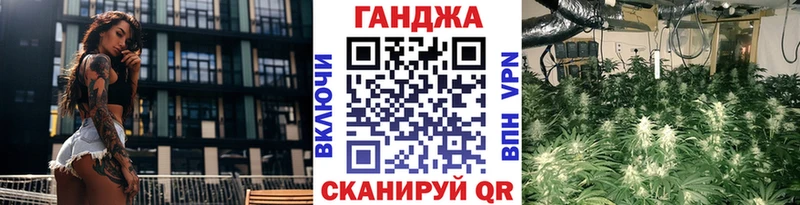 Конопля SATIVA & INDICA  купить наркотики сайты  гидра как зайти  Рудня 